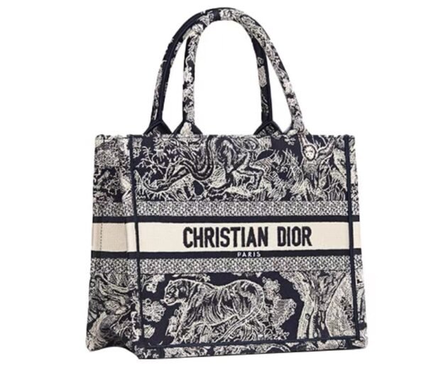 Borsa piccola Dior Book Tote - Image 4